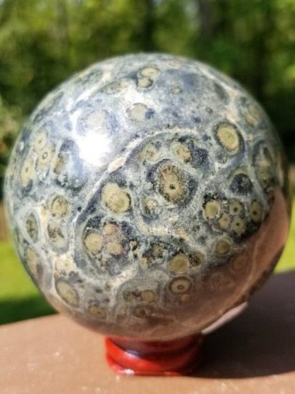 Kambaba Crocodile Jasper Crystal Ball #5